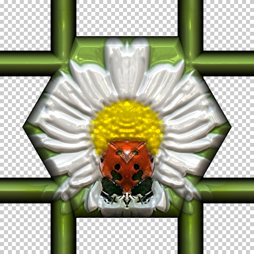 Variation 6