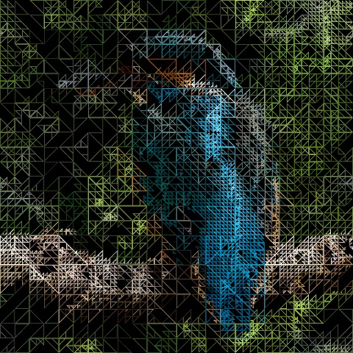 Variation 5