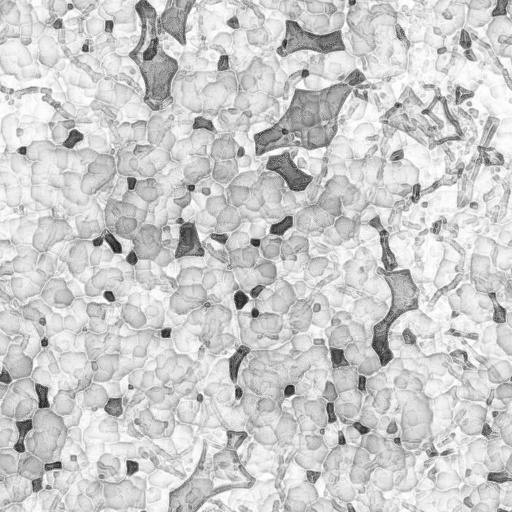 Ambient Occlusion Map