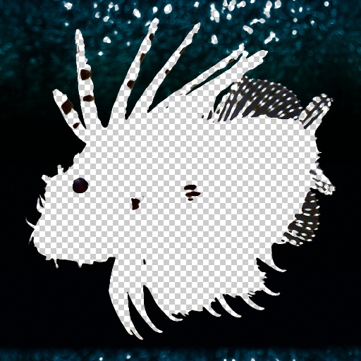 Variation 3