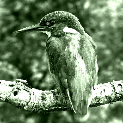 Variation 8