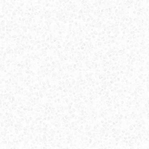 Ambient Occlusion Map