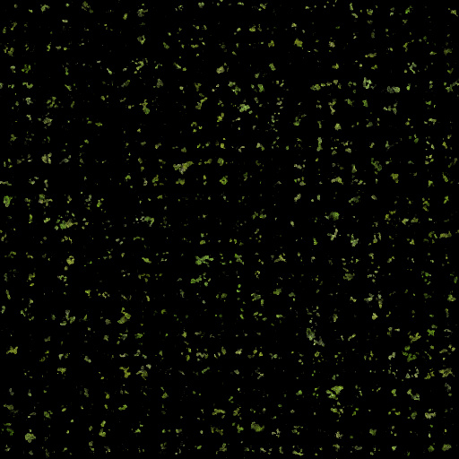 Variation 5