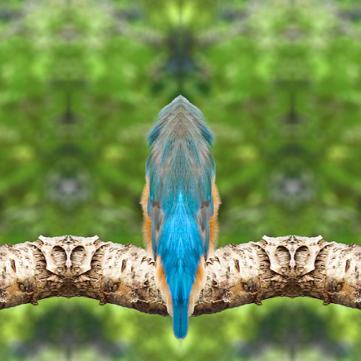 Variation 3
