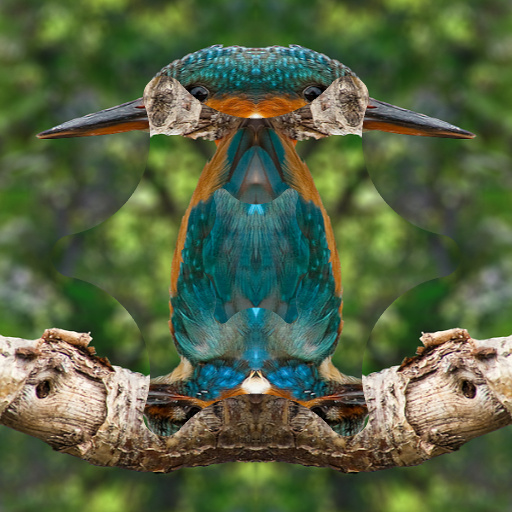 Variation 4