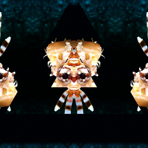 Variation 8