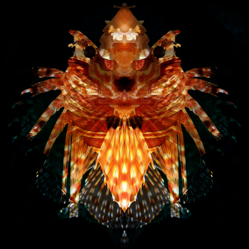 Variation 4