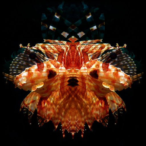 Variation 5