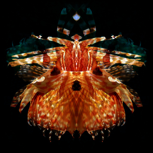 Variation 6