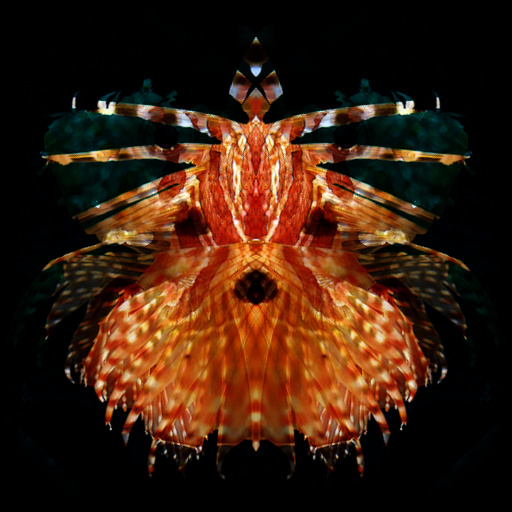 Variation 7