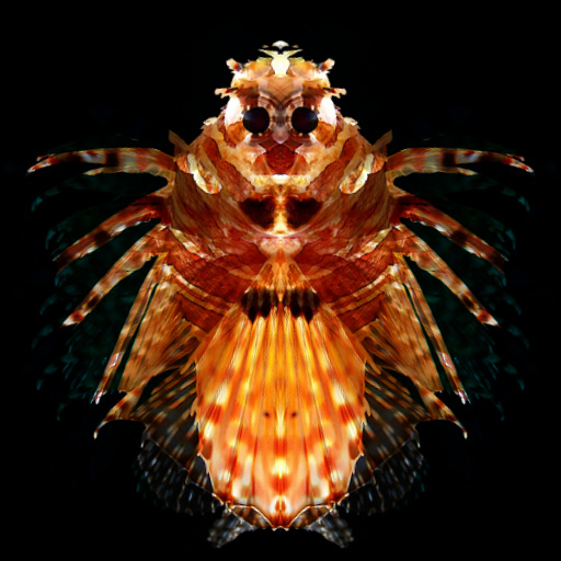 Variation 8