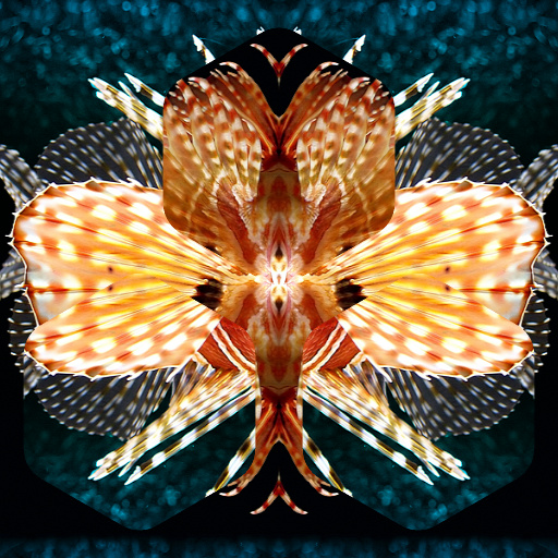 Variation 2
