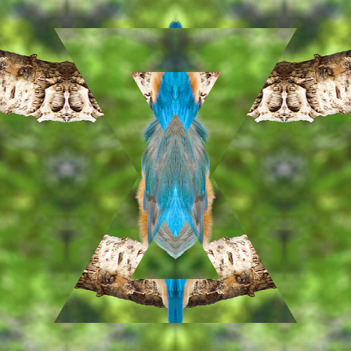 Variation 3