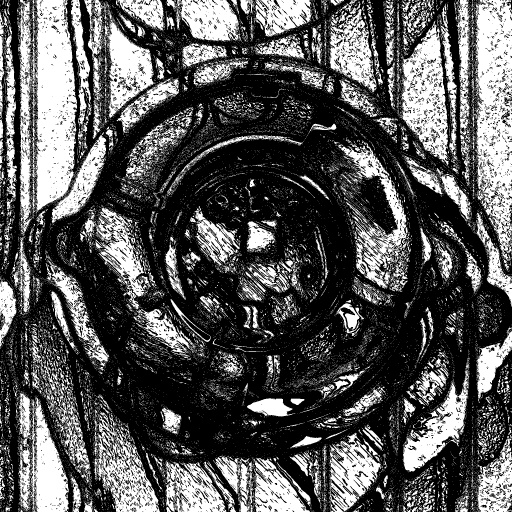 Reflective Occlusion Map