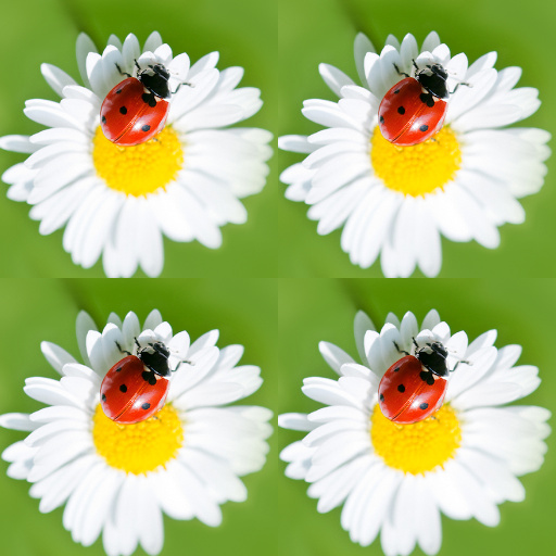 Variation 3