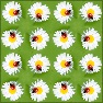 Wallpaper Group 10 p4