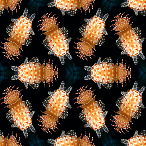 Variation 1