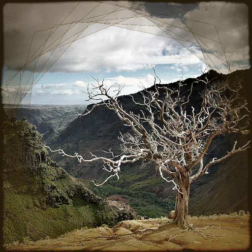 Variation 5