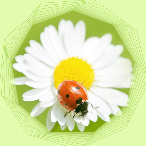 Variation 8