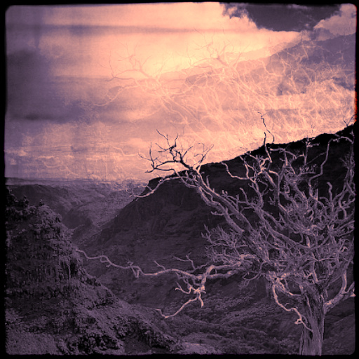 Variation 3