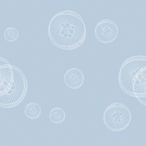Variation 6