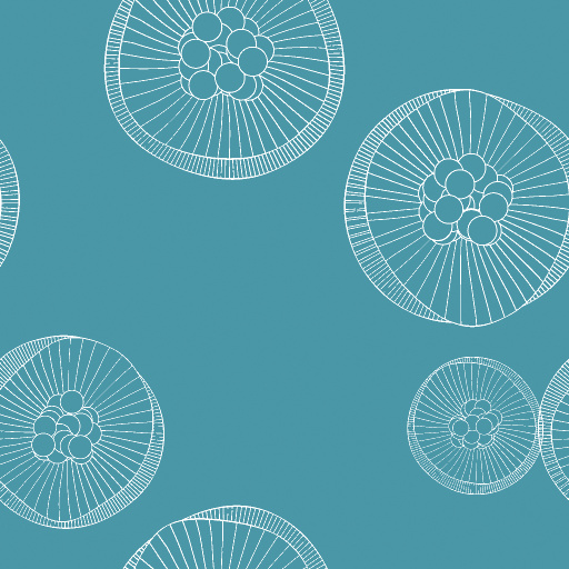 Jellyfish (Texture)