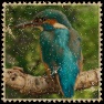 Postage stamp