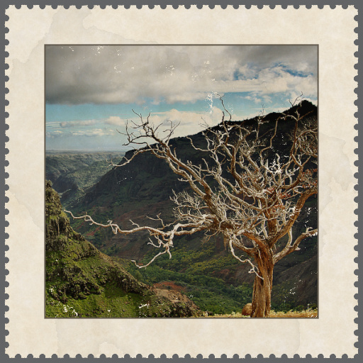 Variation 5