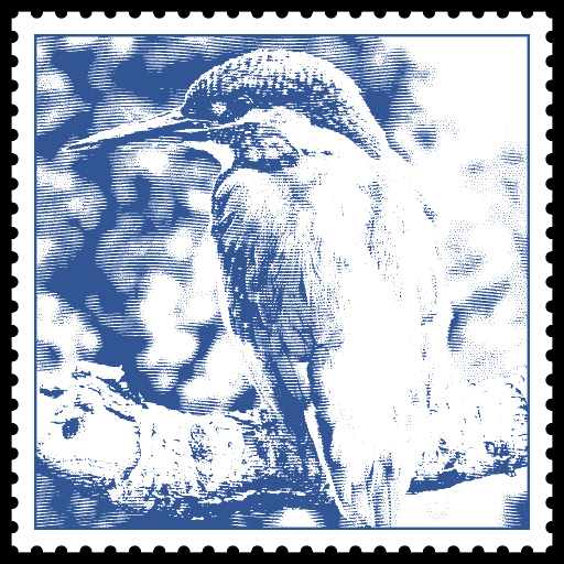 Variation 7