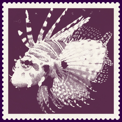 Variation 8