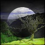 Artistic : Polygonal Variations