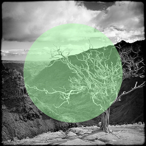 Variation 1