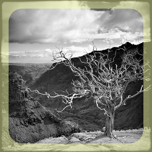 Variation 2