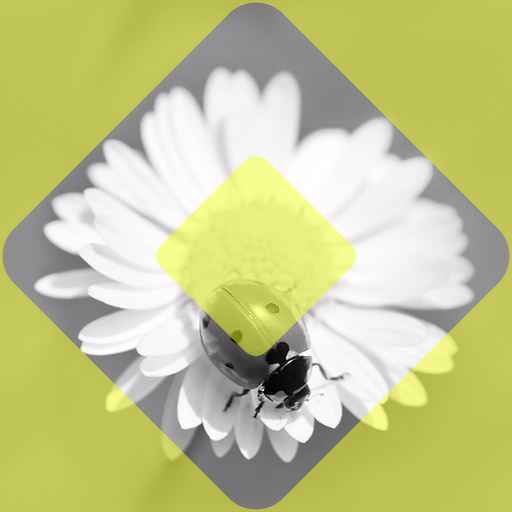 Variation 3