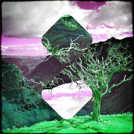 Variation 6