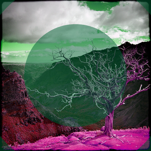 Variation 7