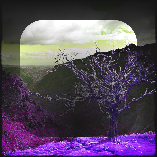 Variation 8