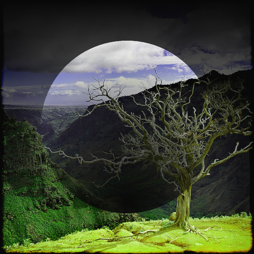 Artistic : Polygonal Variations (Effect)