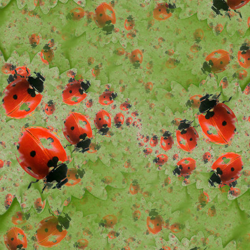 Variation 5
