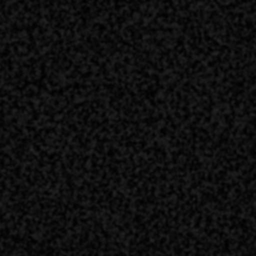 Bump Map