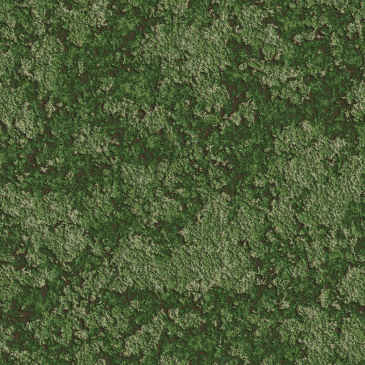 Variation 2