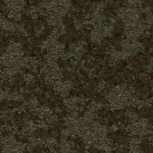 Variation 7