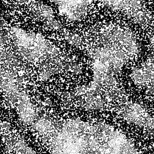 Reflective Occlusion Map