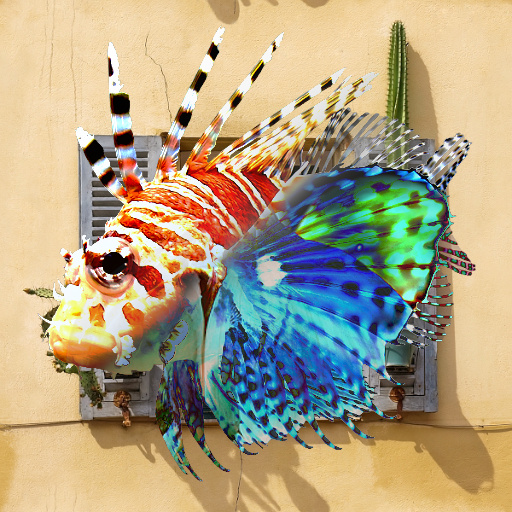 Variation 1