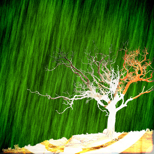 Variation 2
