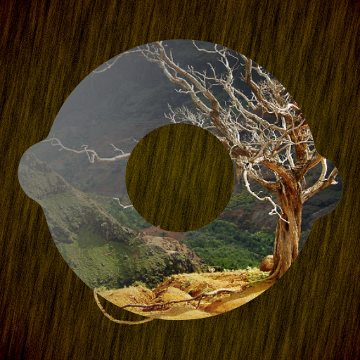Variation 5