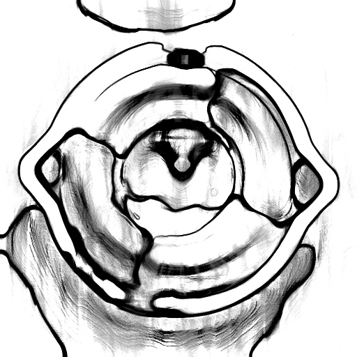 Reflective Occlusion Map