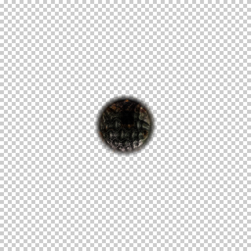Variation 7