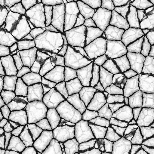 Ambient Occlusion Map