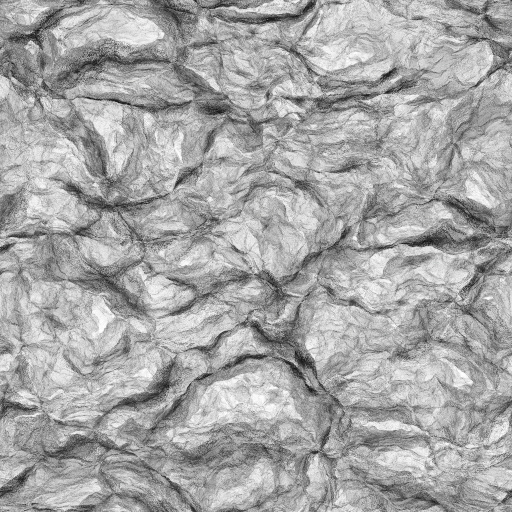 Ambient Occlusion Map